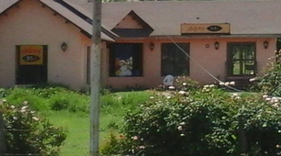 Dulces de Curacaví - camino a viñas - Dulces Issa